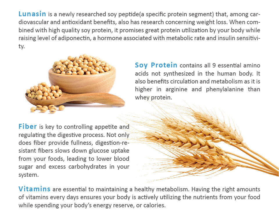 substitute real meal for weight control